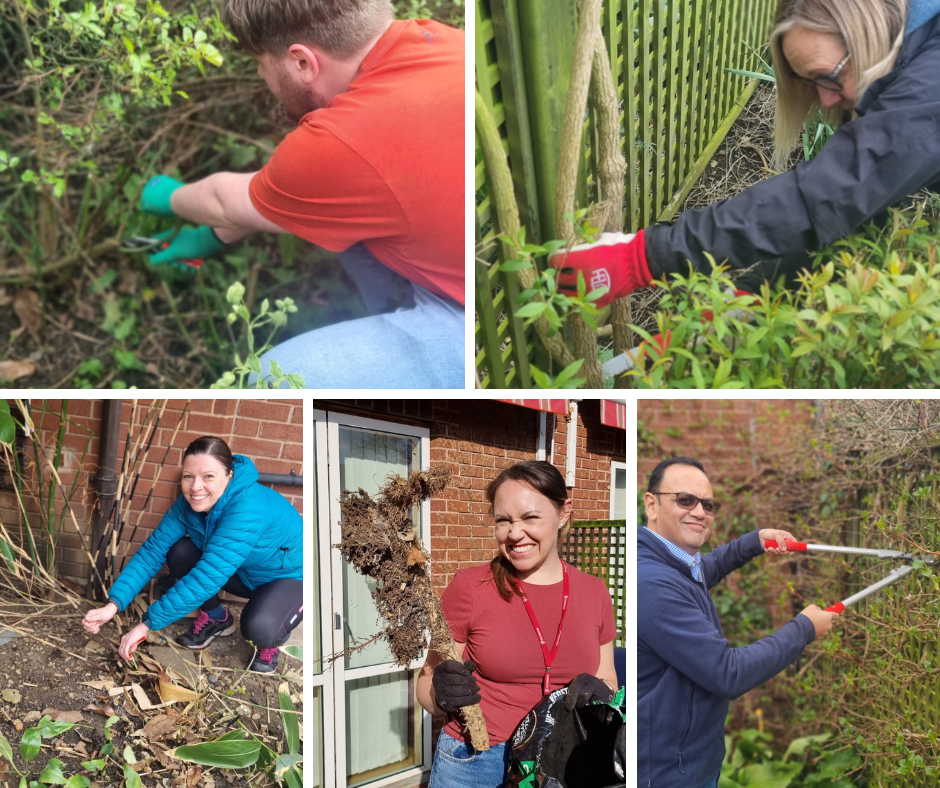 LOROS Garden Tidy Up