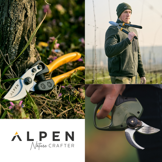 New brand ALPEN