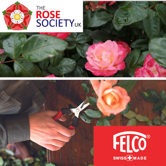 FELCO are proud to announce their partnership with the Rose Society UK